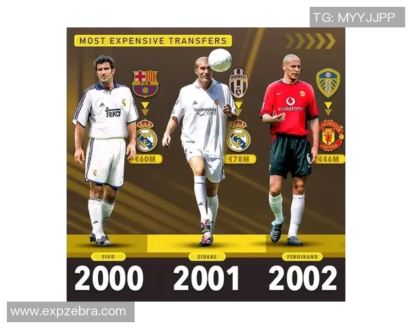 足球球星转会费计算方式解析及其影响因素详解